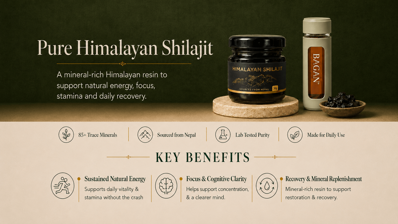 Himalayan Shilajit