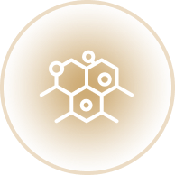 Adaptogenic Regulation