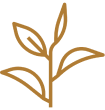 Adaptogens