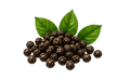 Black Pepper
