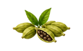Cardamom