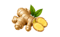 Ginger