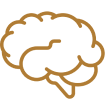 Nootropics & Nervous System Botanicals